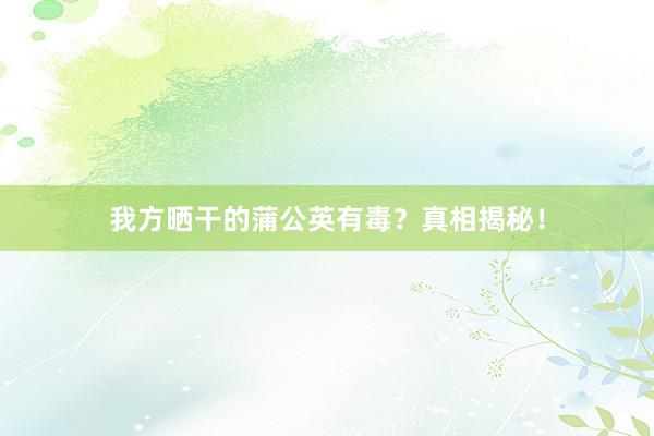 我方晒干的蒲公英有毒？真相揭秘！